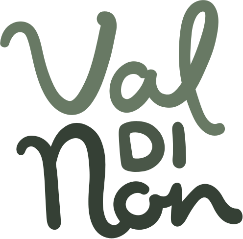 Logo Client Valdinon