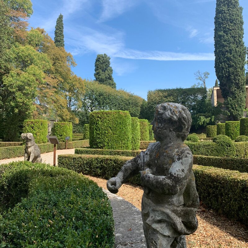 VV Blog 8