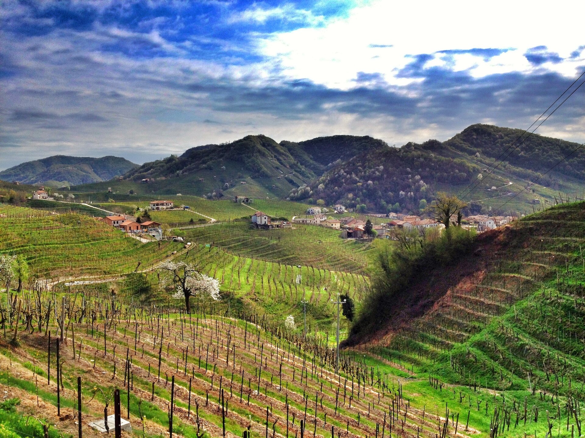 Header Prosecco Hills