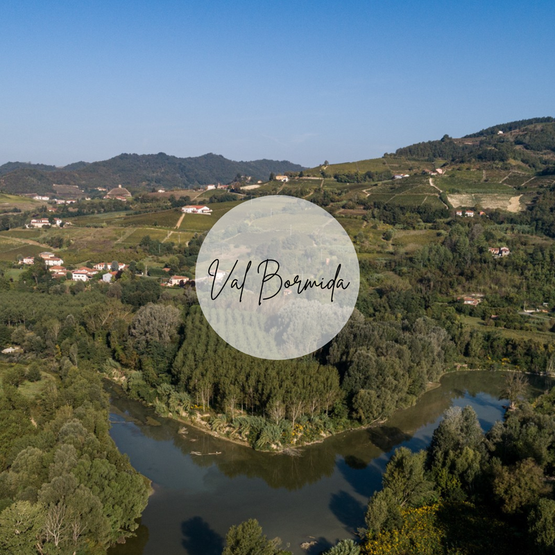 Bormida
