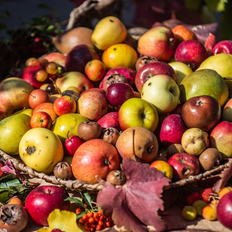 R Festa Frutti Dimenticati 3