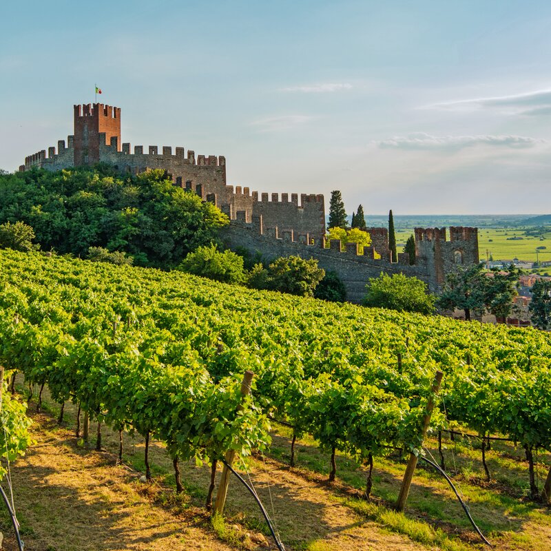 Soave R.S.Foto (19)