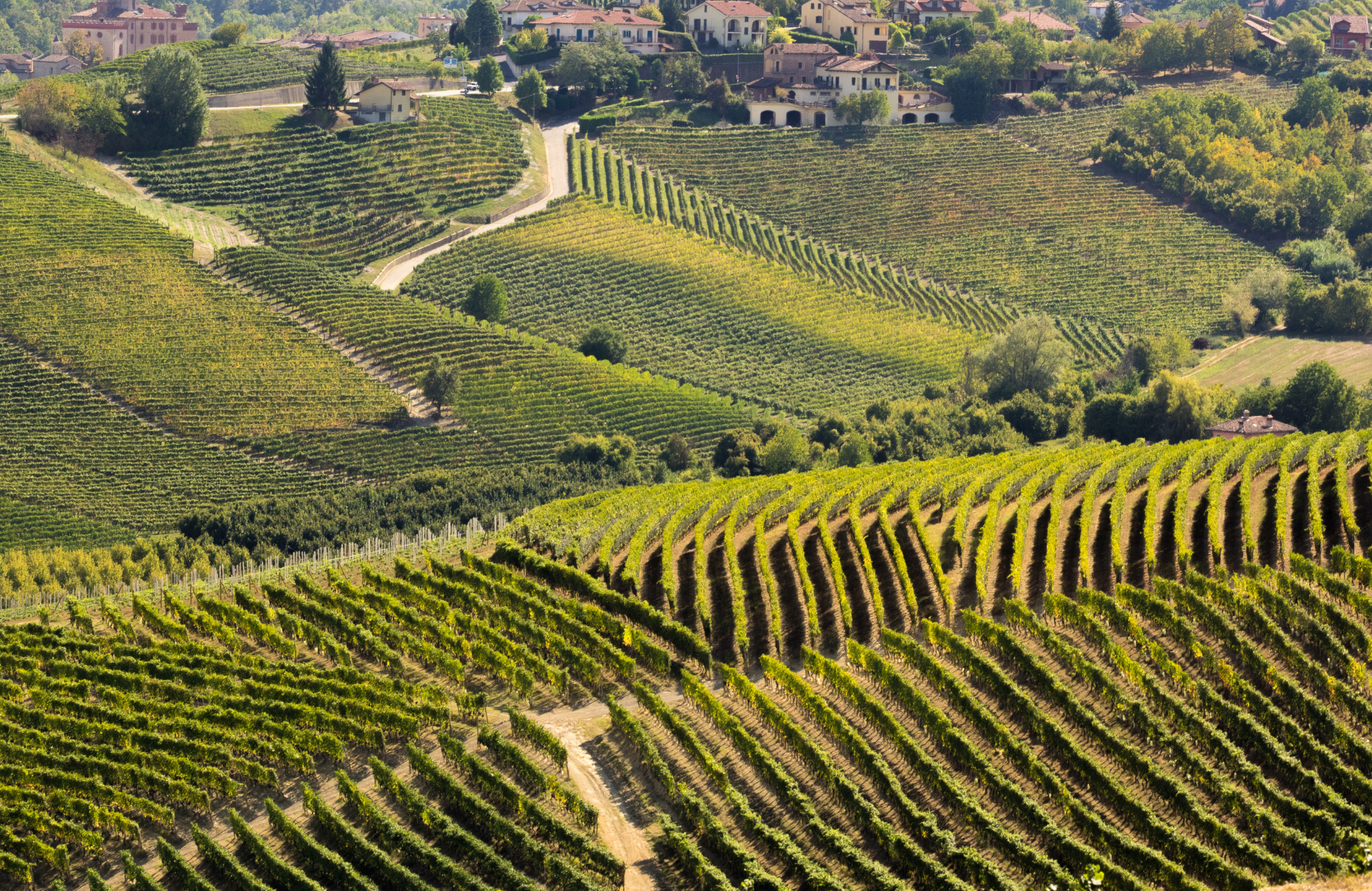 Langhe Monferrato Roero (2)