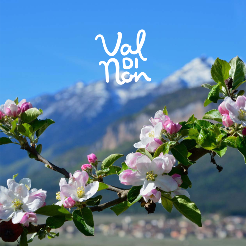 Logo Val Di Non
