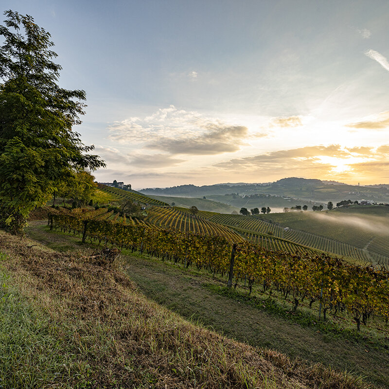 Foto Langhe01