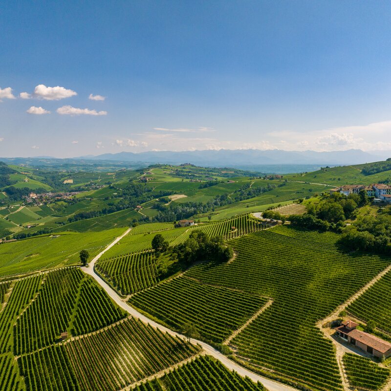 Foto Componente Langa Barolo
