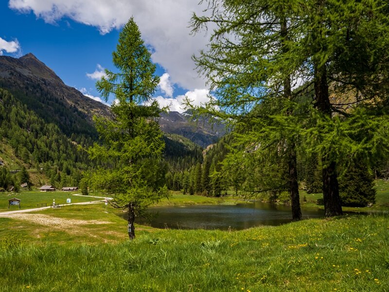 C Trentino Marketing Alberto Zanghieri Trentino Fishing Val Di Fumo Nudole