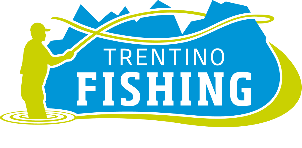Logo (1)