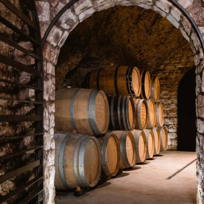 2022.10.25 Botti Cantina   Ph. Nicola Cagol (4)@2x.e2a5d19c (1)