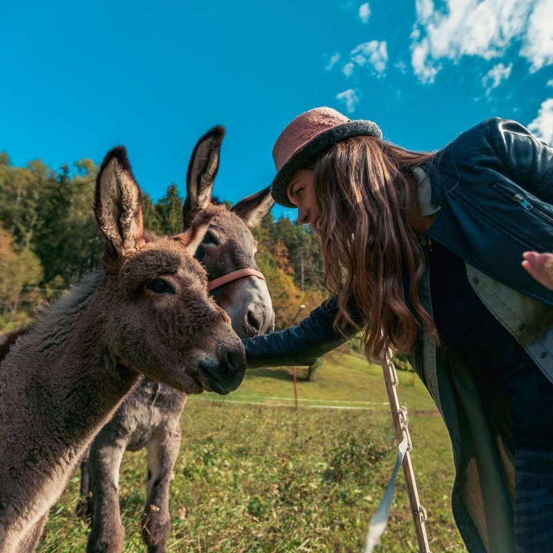 San Lorenzo Ph Joe Barba Arch Tn Marketing 59