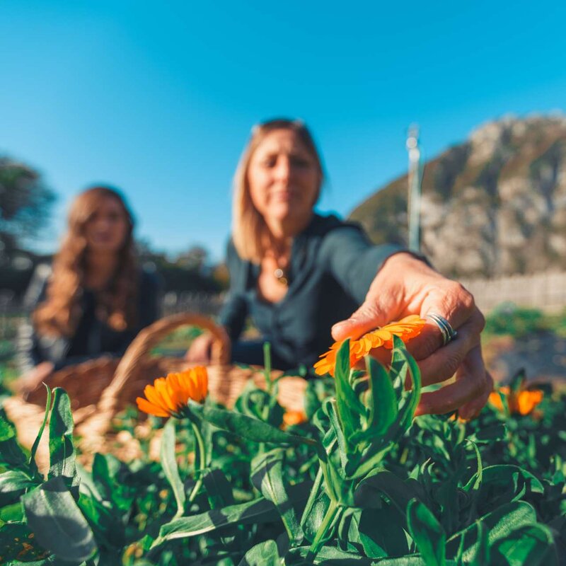 San Lorenzo Ph Joe Barba Arch Tn Marketing 10