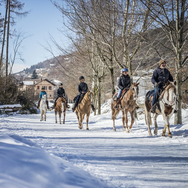 Archivio A P T Pine Cembra Ph Alberto Franceschi 2