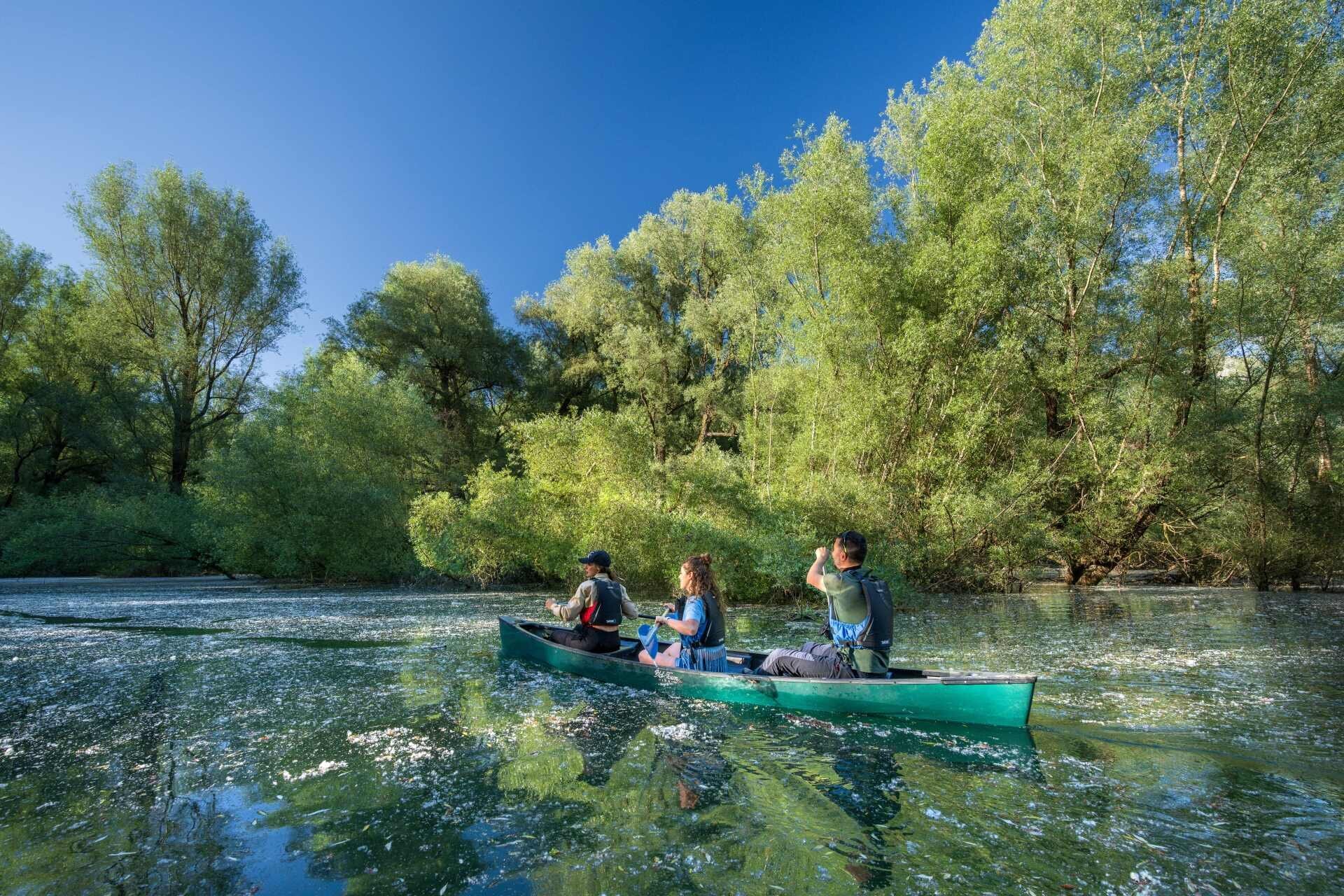 Canoa Lago Barrea Salici.d8cddeac