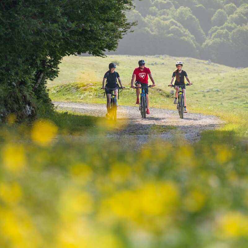 Ebike Abruzzo Primavera Fioriture.df7dccca